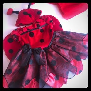 Koala Kids Ladybug Halloween costume 3-6 months